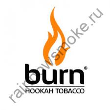 Burn 200 гр - Cane Mint (Тростниковая Мята)