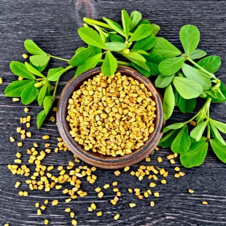 Пажитник Гурман, 100шт семян