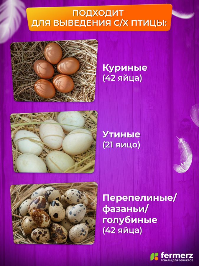 Инкубатор HHD на 42 яица автоматический переворот, оснащен овоскопом