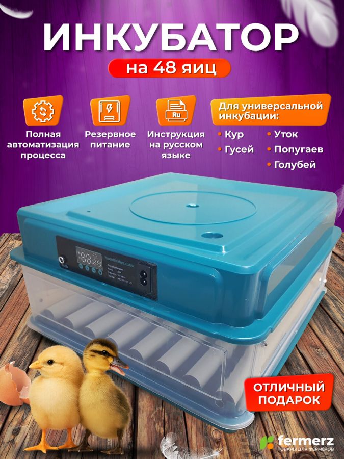 Инкубатор на 48 куриных яиц с резервным питанием, автоматическим переворотом и встроенным овоскопом