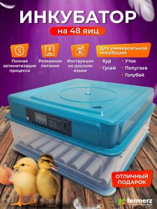 Инкубатор на 48 куриных яиц с резервным питанием, автоматическим переворотом и встроенным овоскопом