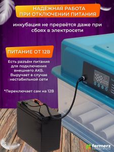 Инкубатор на 48 куриных яиц с резервным питанием, автоматическим переворотом и встроенным овоскопом