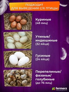 Инкубатор на 48 куриных яиц с резервным питанием, автоматическим переворотом и встроенным овоскопом