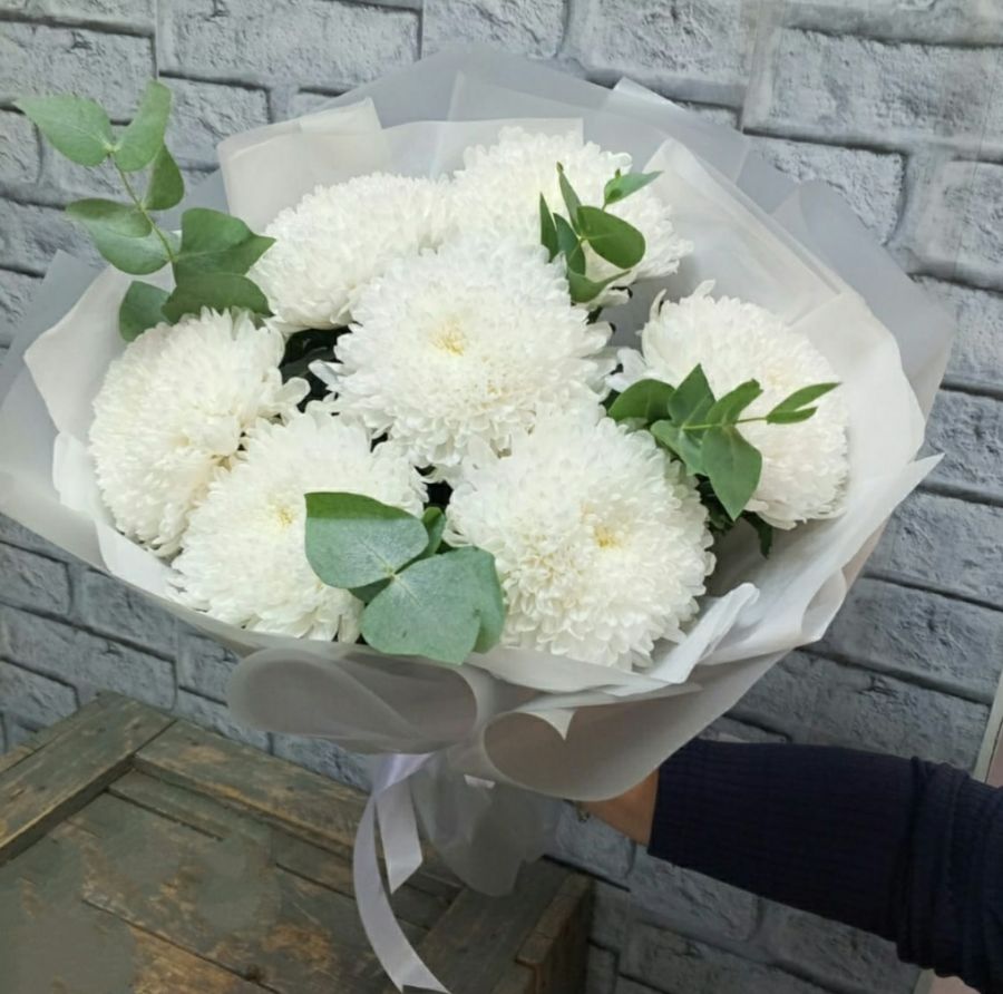 Хризантемы Антонов