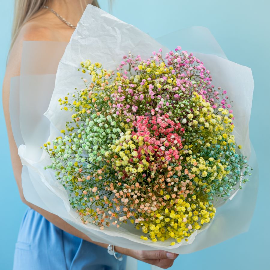 7 цветных гипсофил