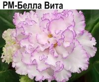 РМ-Белла Вита