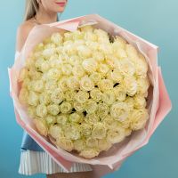 101 роза сорт мондиаль