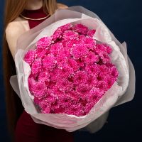 15 ярко-розовых хризантем