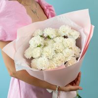 Белые диантусы от 15 шт