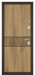 Стальная дверь "Мастино" Trust Eco. Антрацит букле/ Дуб галифакс медовый