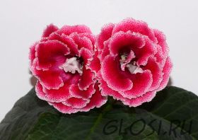 ЕН-Опаленные Солнцем (сел.Е.Николаева)