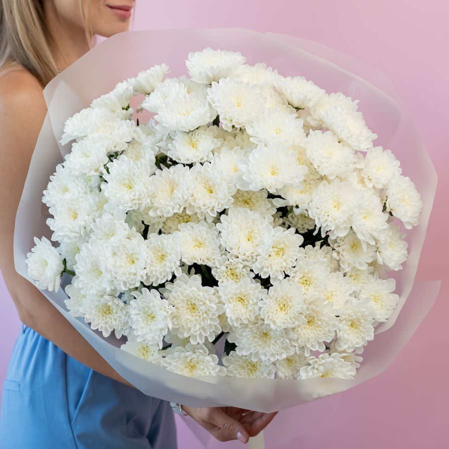 Хризантема (сорт Алтай) 15 шт