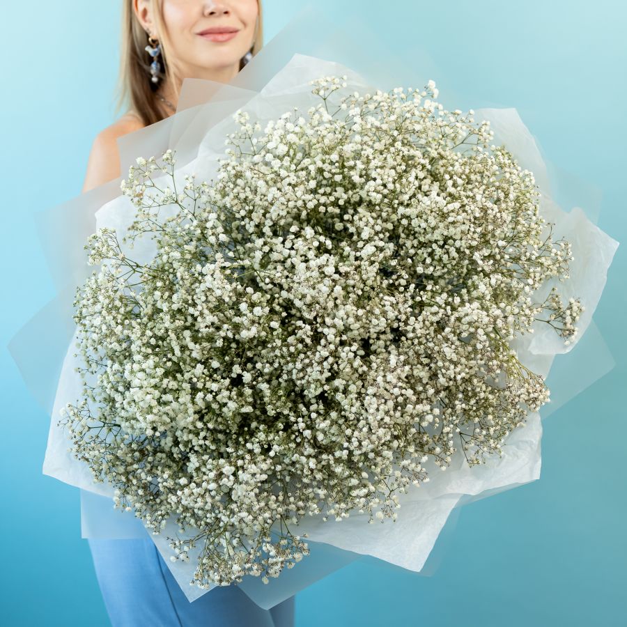 Гипсофила белая 25 шт