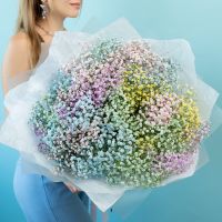 Гипсофила радужная 25 шт