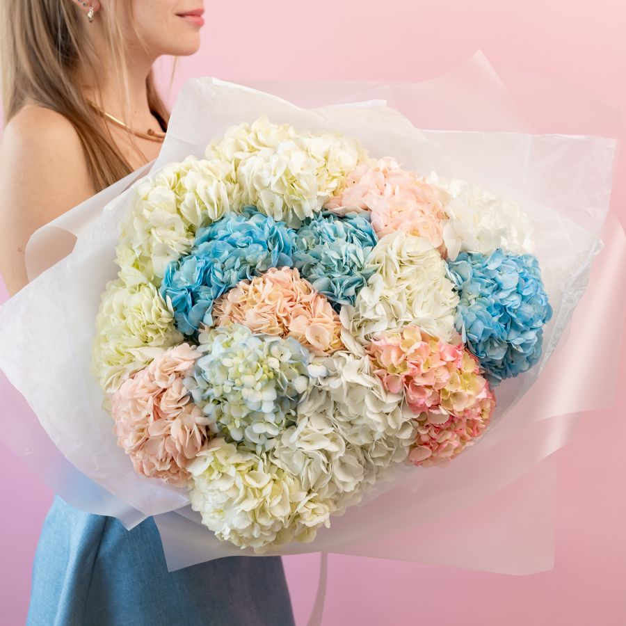 Гортензия микс 15 шт