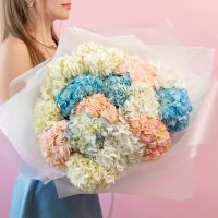 Гортензия микс 15 шт