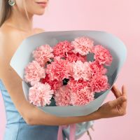 Розовые диантусы от 15 шт