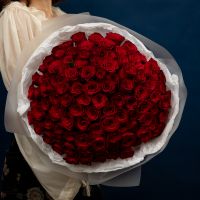 101 красная роза в оформлении (40см)