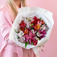 15 Альстромерий в упаковке