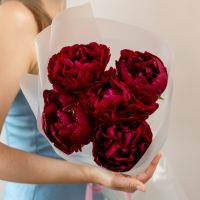 5 пионы красные