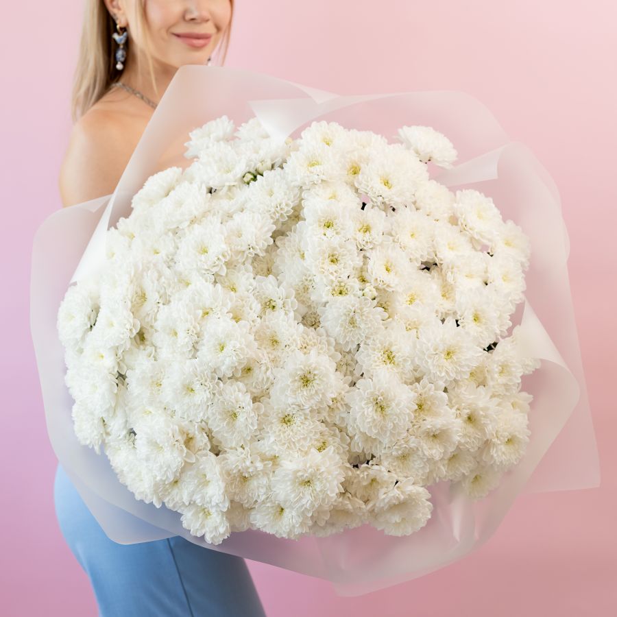 Хризантема кустовая (сорт Алтай) 25 шт