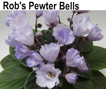 Rob's Pewter Bells
