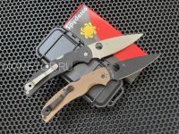 Spyderco Native Chief 244GP