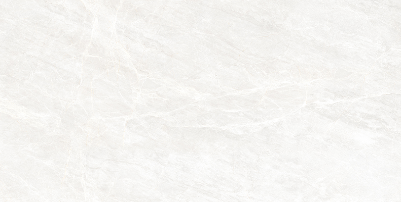 60X120 SALOME FİLDIŞİ TAM PARLAQ REKTIFIYE | EGE SERAMIK