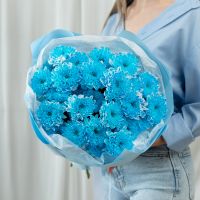 5 синих хризантем (сорт Алтай)