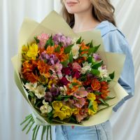 25 альстромерий микс