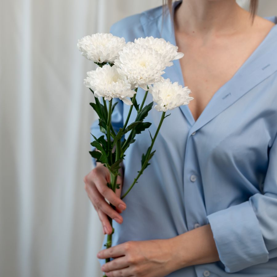 1 хризантема (сорт Алтай)