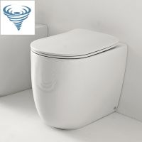 Унитаз напольный Kerasan Nolita безободковый, слив Tornado схема 1