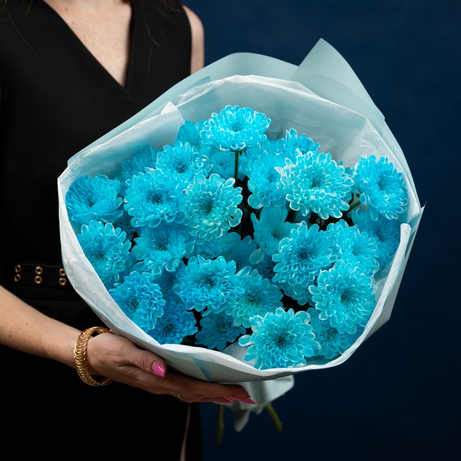 5 голубых хризантем