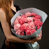 25 розовых диантусов