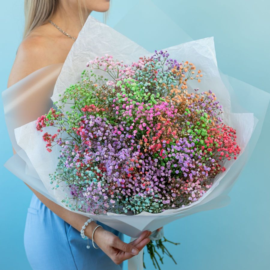 Радужная гипсофила от 7 шт