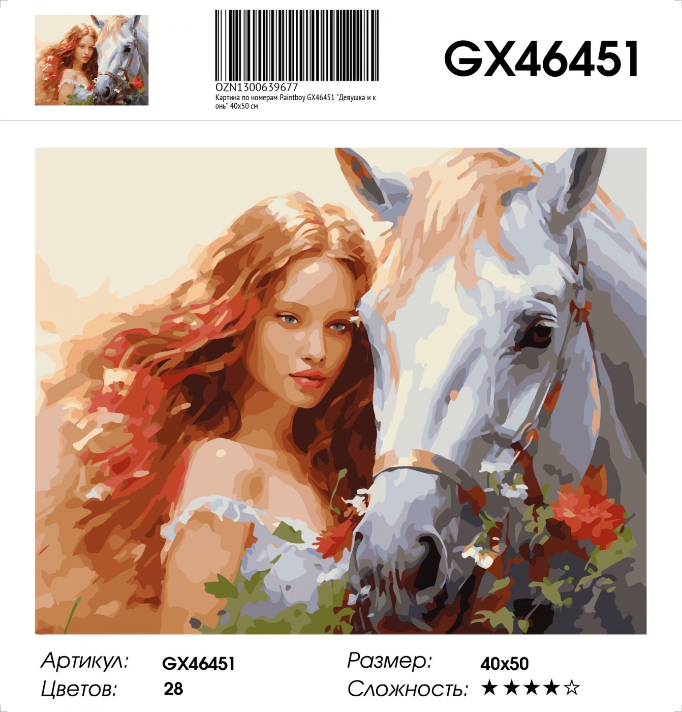 Картина по номерам на подрамнике GX46451