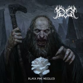 IRGA - Иглы чёрных сосен DIGIPAK