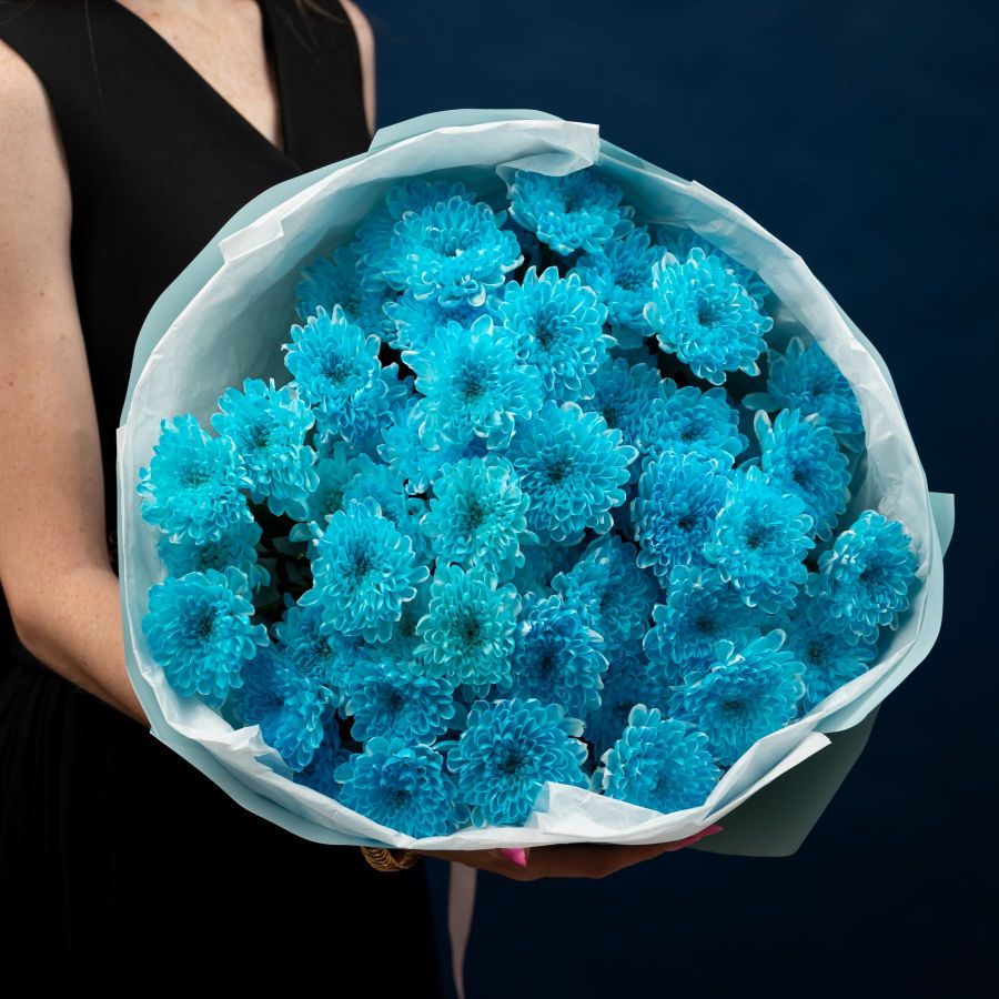 Хризантема голубая от 9 шт