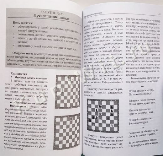 Шахматы. Как научить и увлечь детей