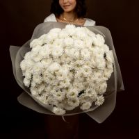 Хризантема кустовая (сорт Алтай) от 5 шт