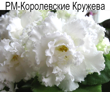 РМ-Королевские Кружева (Н. Скорнякова)