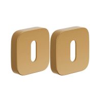 Накладка на межкомнатный замок DND BD48 P (Martinelli) матовое золото