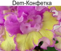 Dem-Конфетка