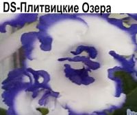 DS-Плитвицкие Озера