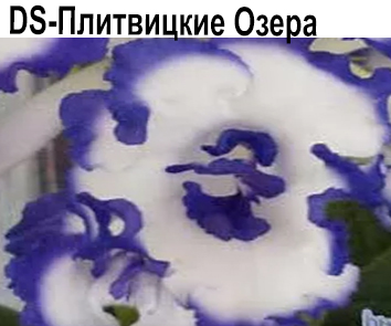 DS-Плитвицкие Озера (Диметрис)  НОВИНКА КАТАЛОГА!