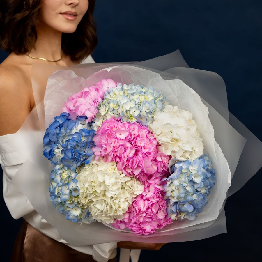 Гортензия микс от 3 шт