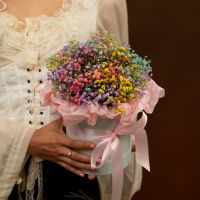 шляпа С цветная гиспофила