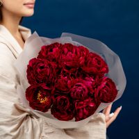 11 пионы красные