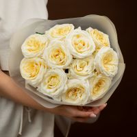 11 пионовидных роз (сорт Кендл Лайт)