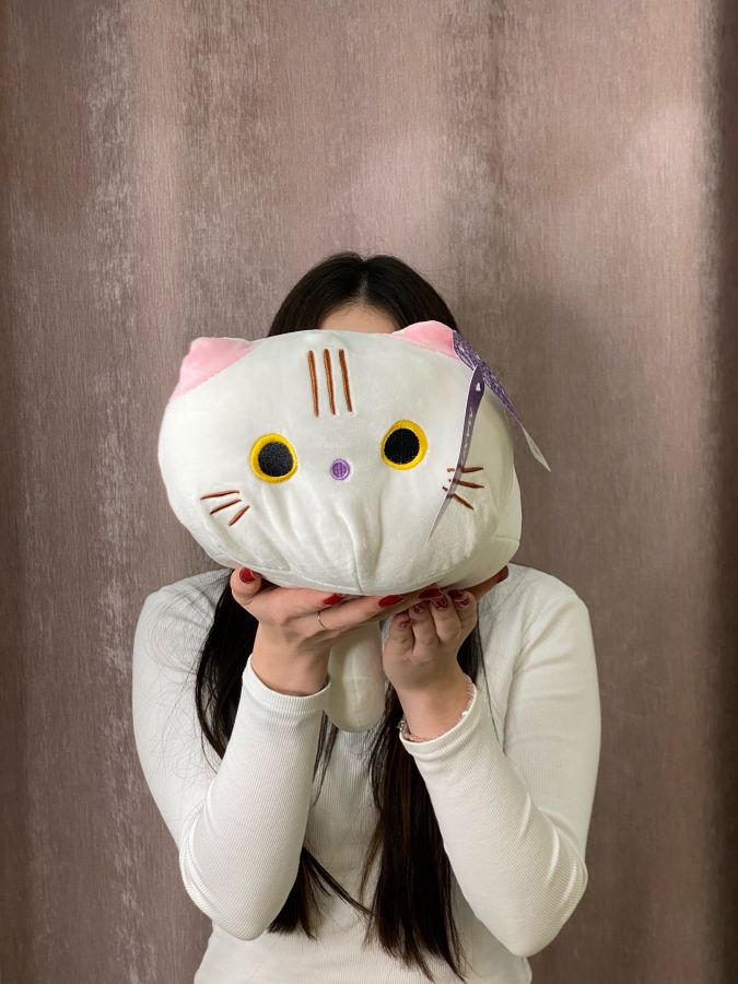 Игрушка-подушка "Котик"